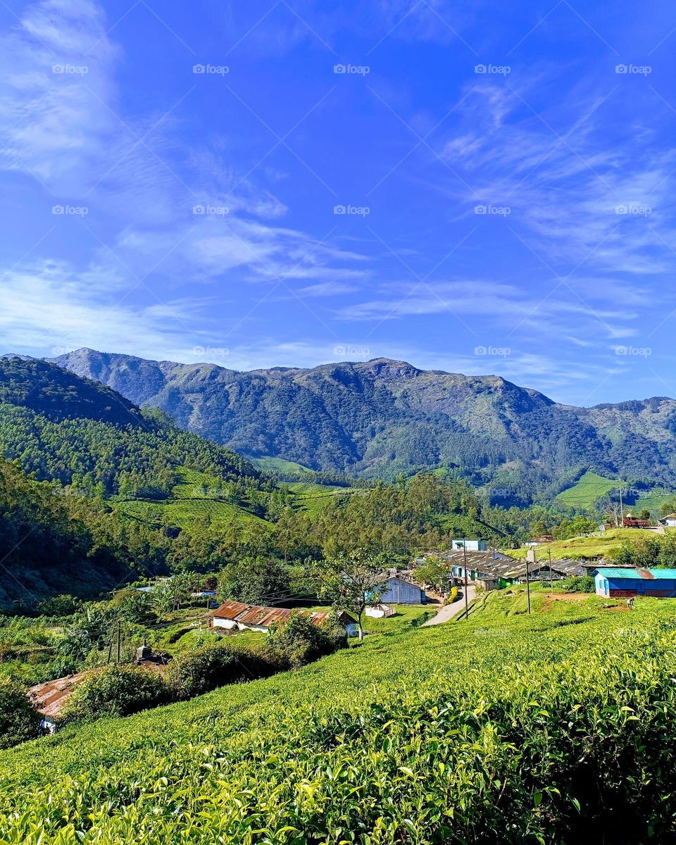 Perfect sync of green and blue. Hills, Green nature and blue sky