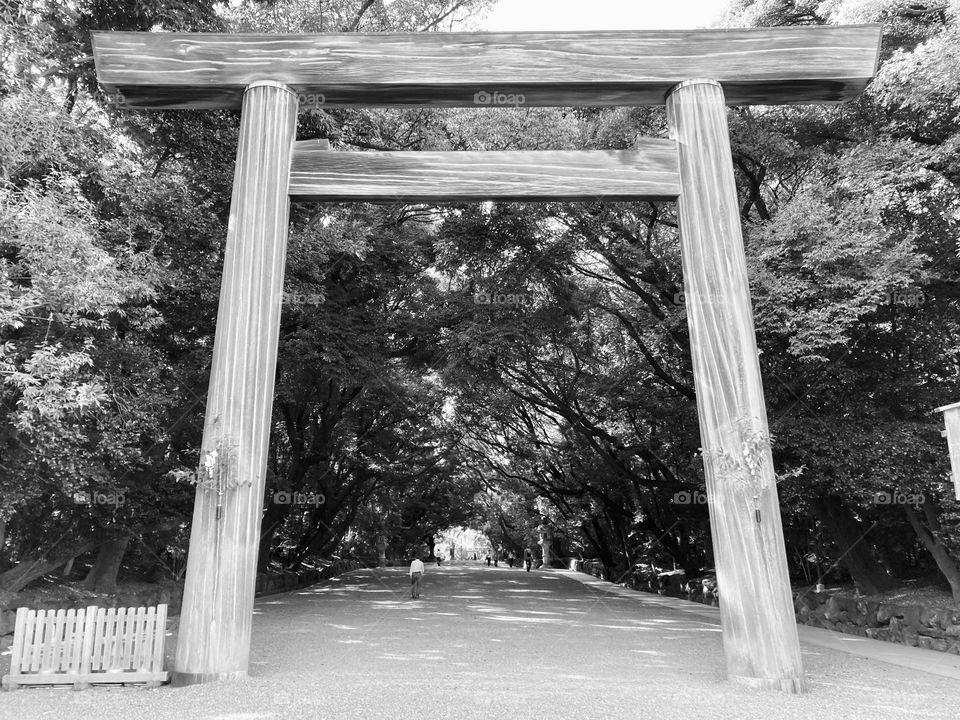 Torii