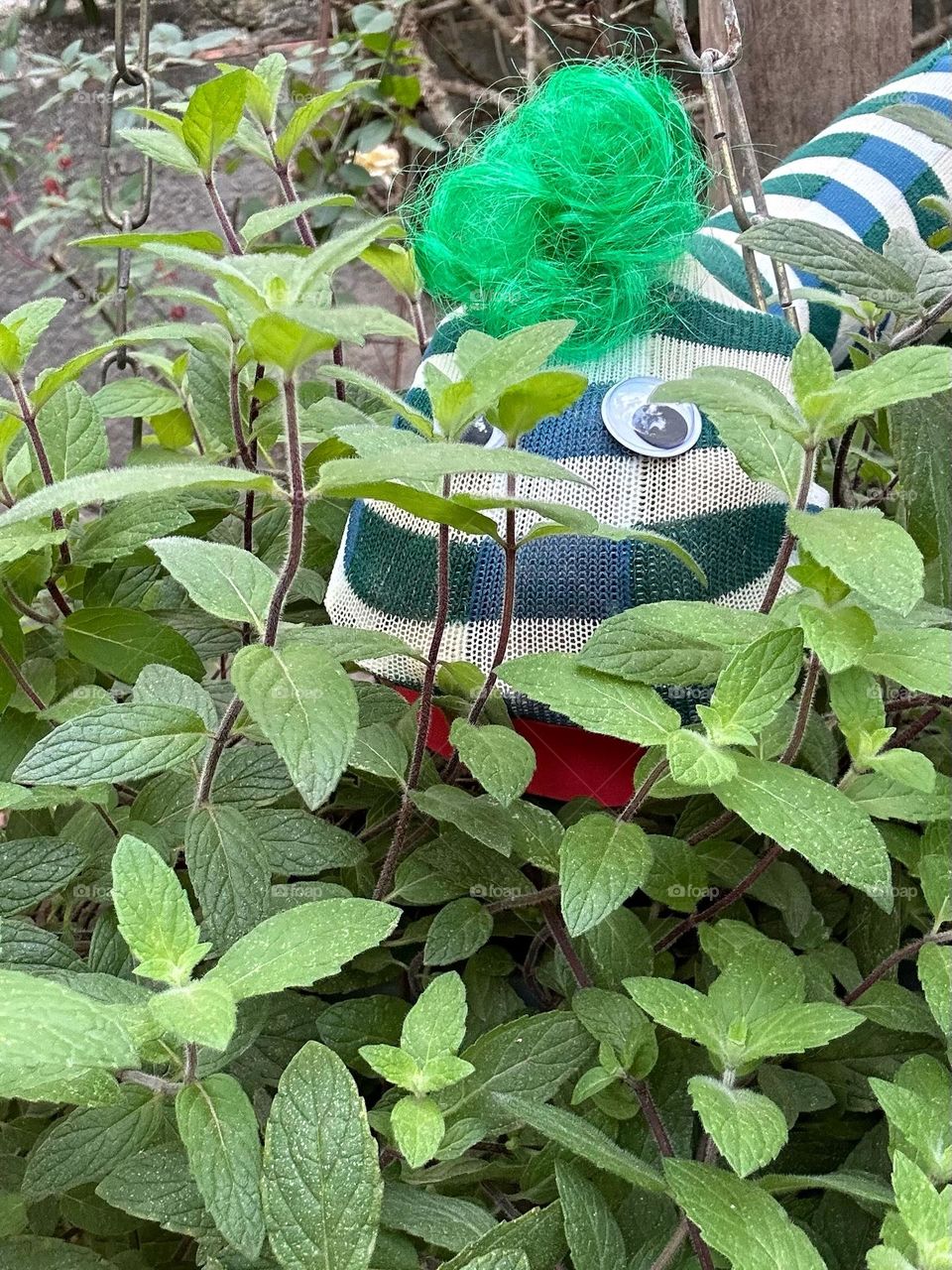 visitor in the mint vase