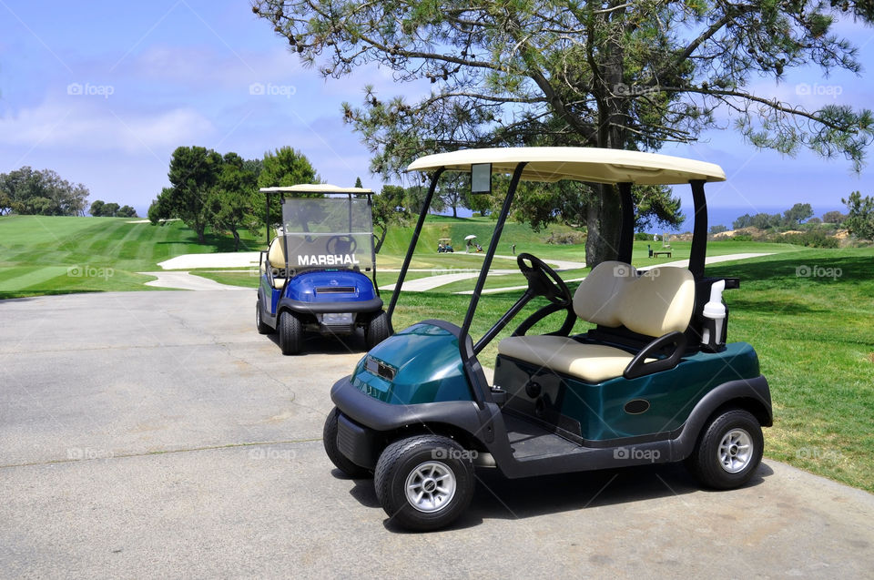 Golf carts.