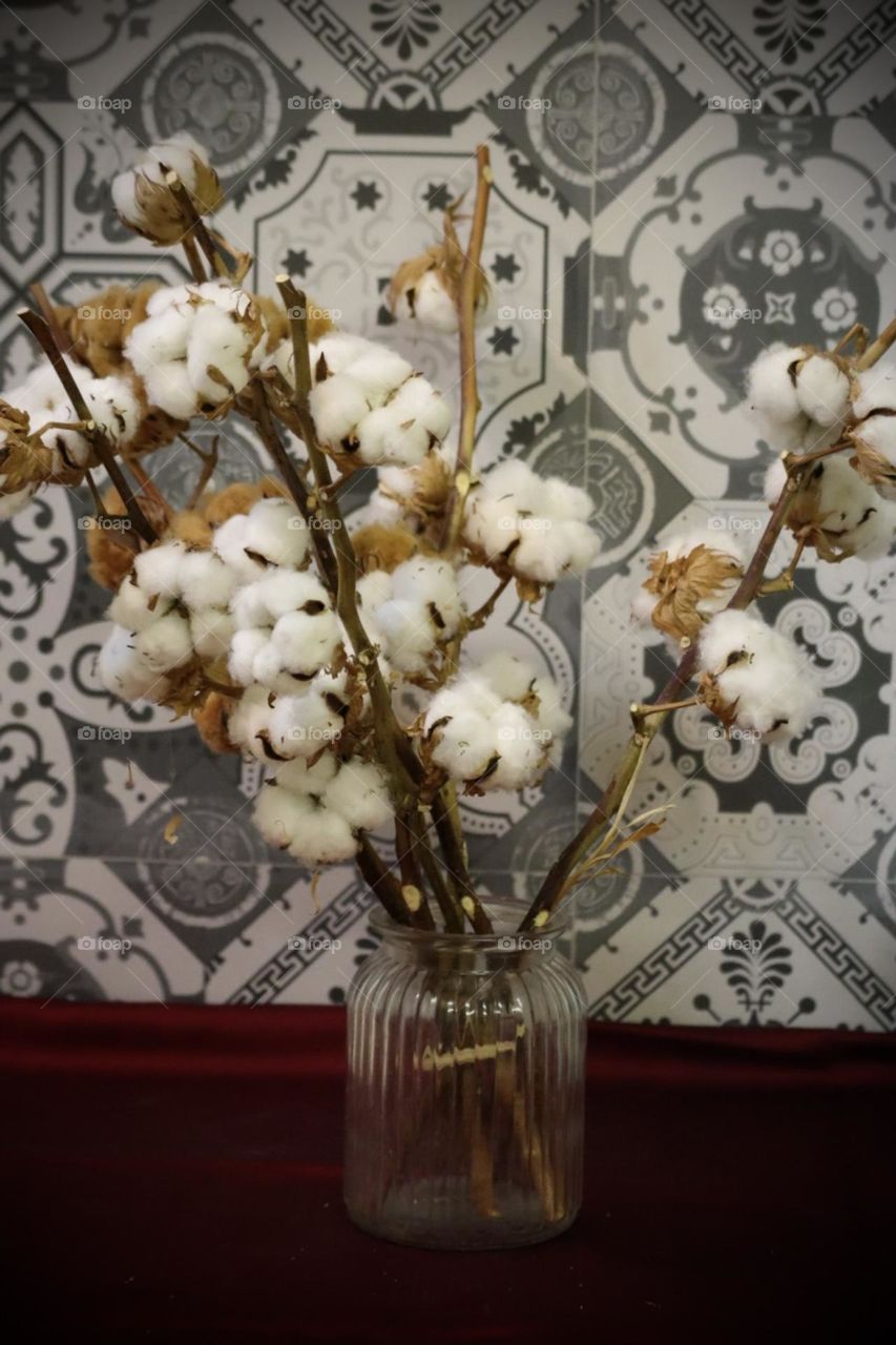 Cotton flower in a vase 