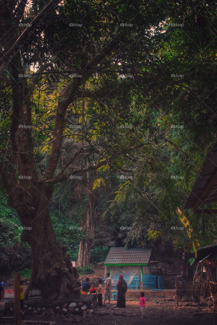 wisata mataair senjoyo