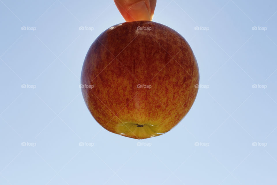 Holding apple against blue sky 
