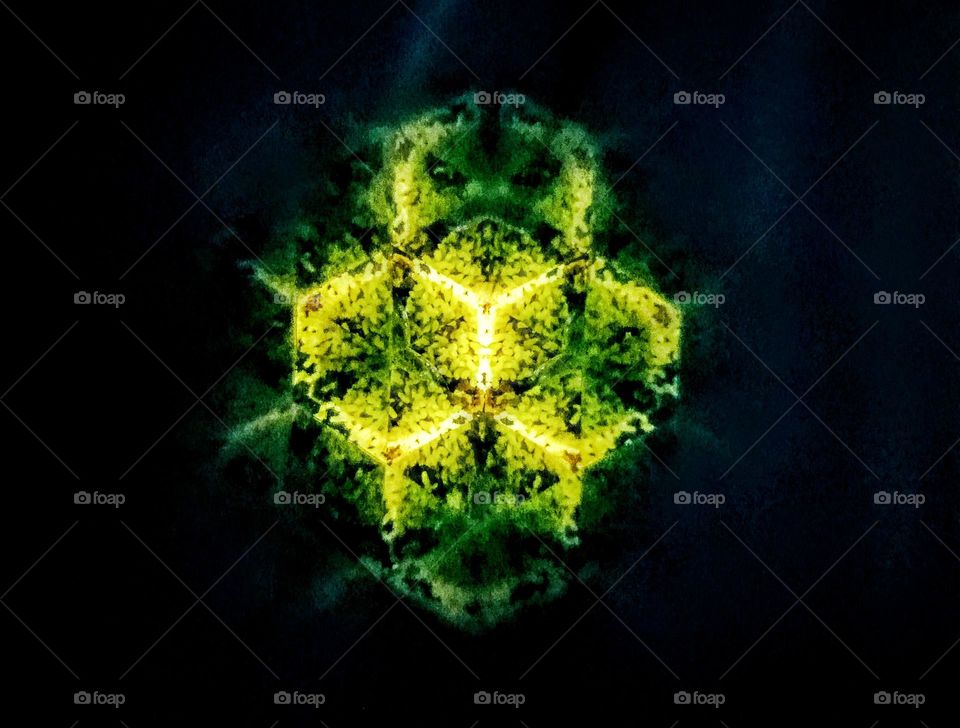 monster triangle's photo