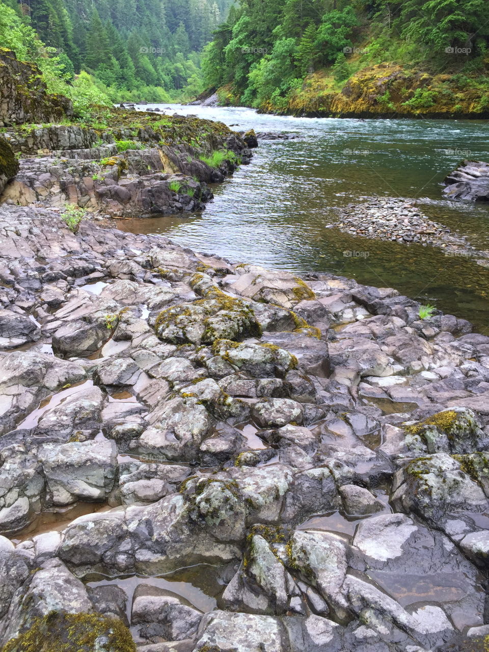 Boulders and rocks line the river banks of the magnificent waters of the Umpqua River in Southwestern Oregon on a summer morning. 