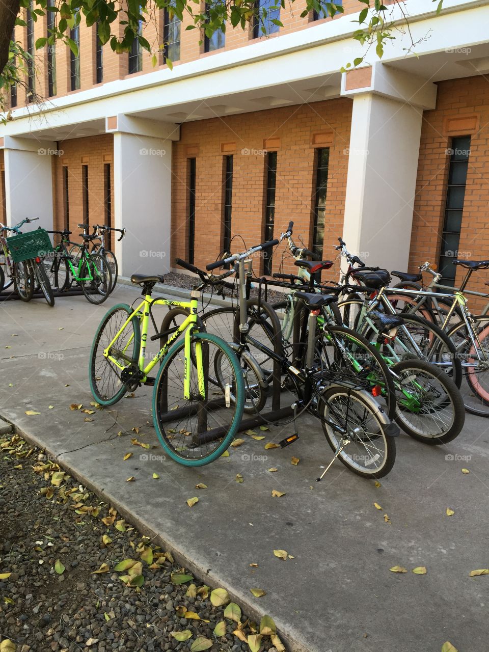Bikes parking