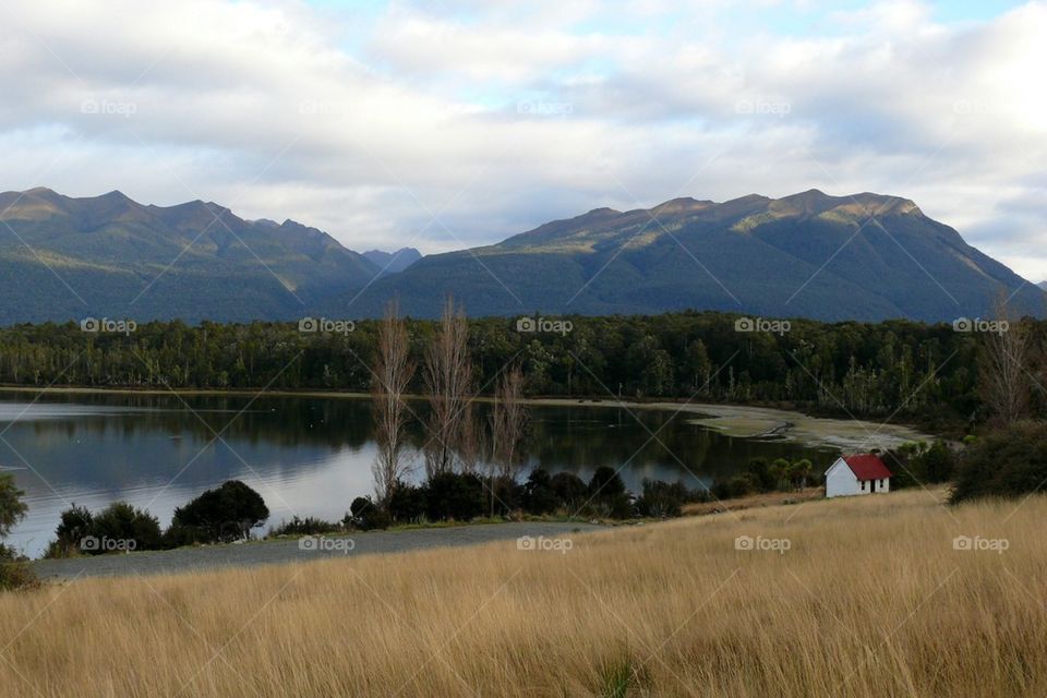 View of lake surrounded tree