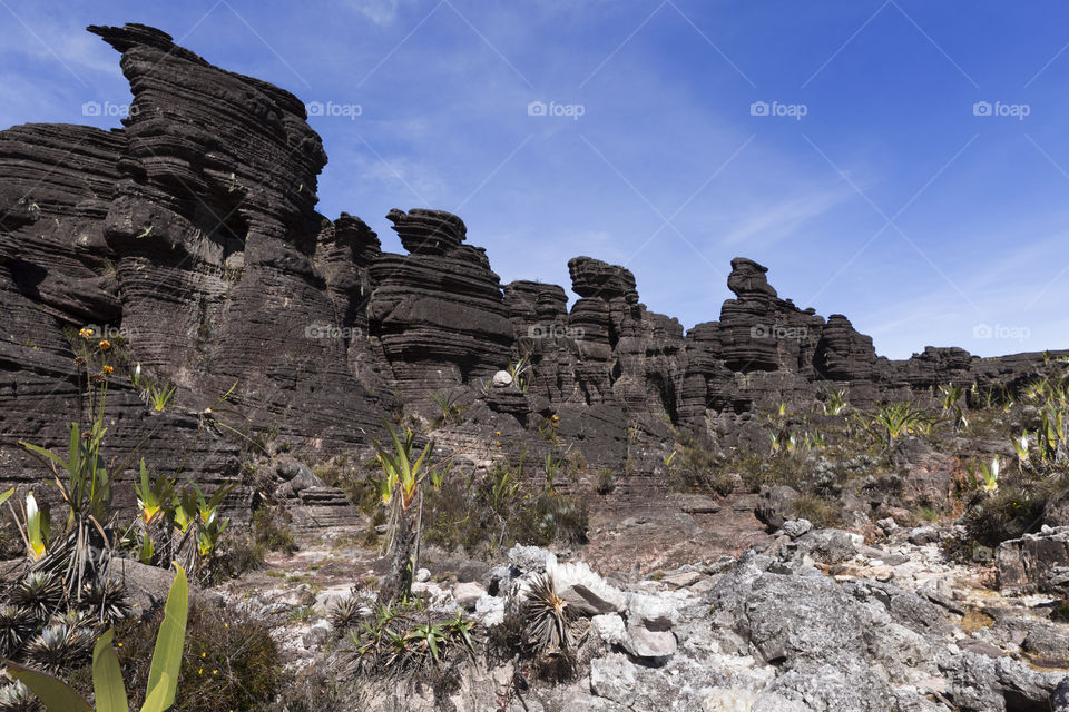 Crystal valley, Mount Roraima in Canaima National Park in Venezuela.