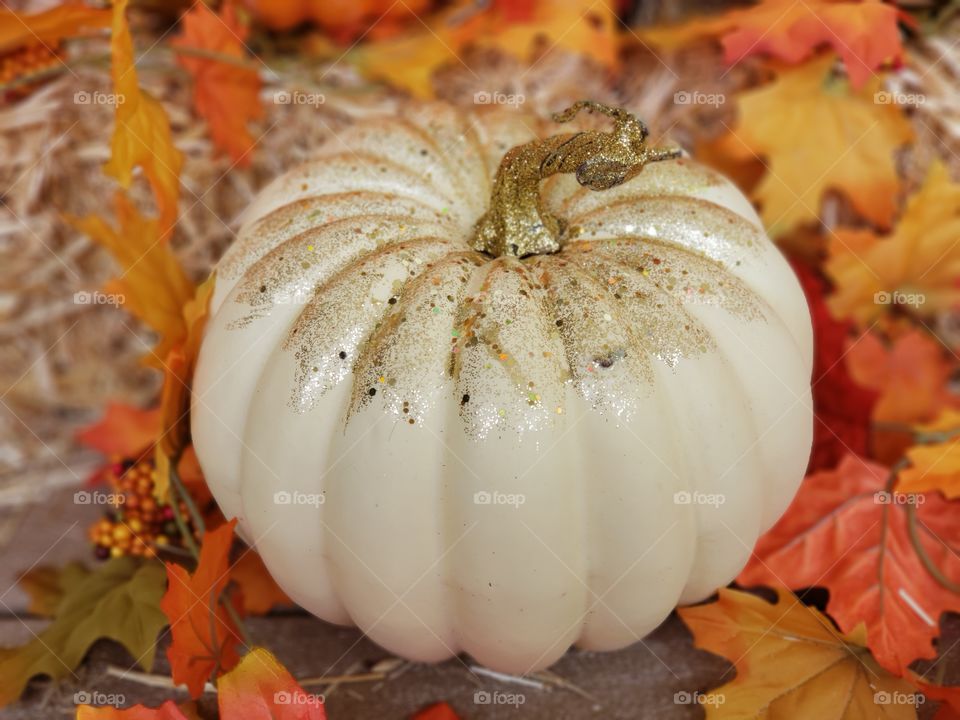 White Pumkin Fall Scene Top View