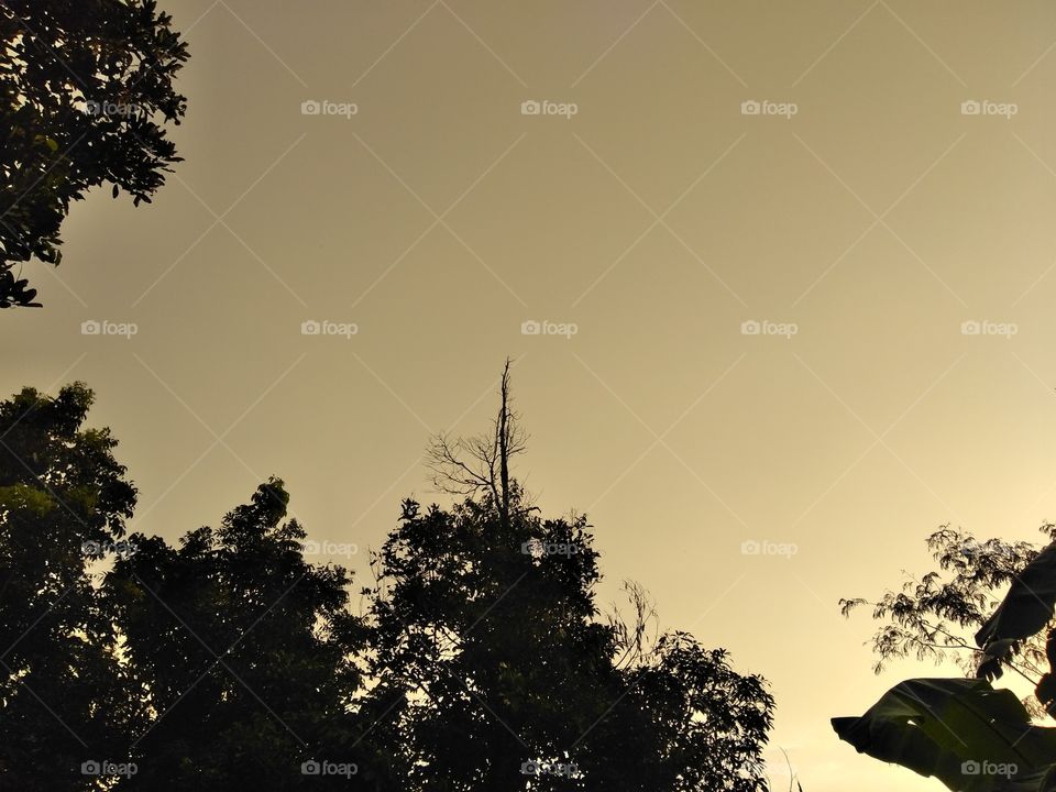 shadow of the scenery