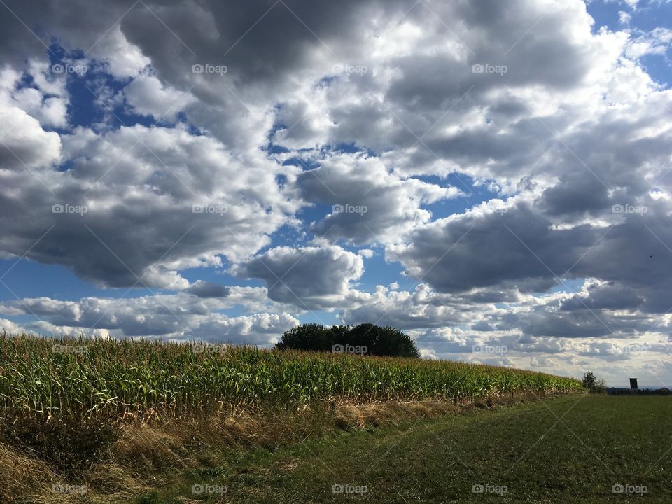 Dramatic sky over fields 