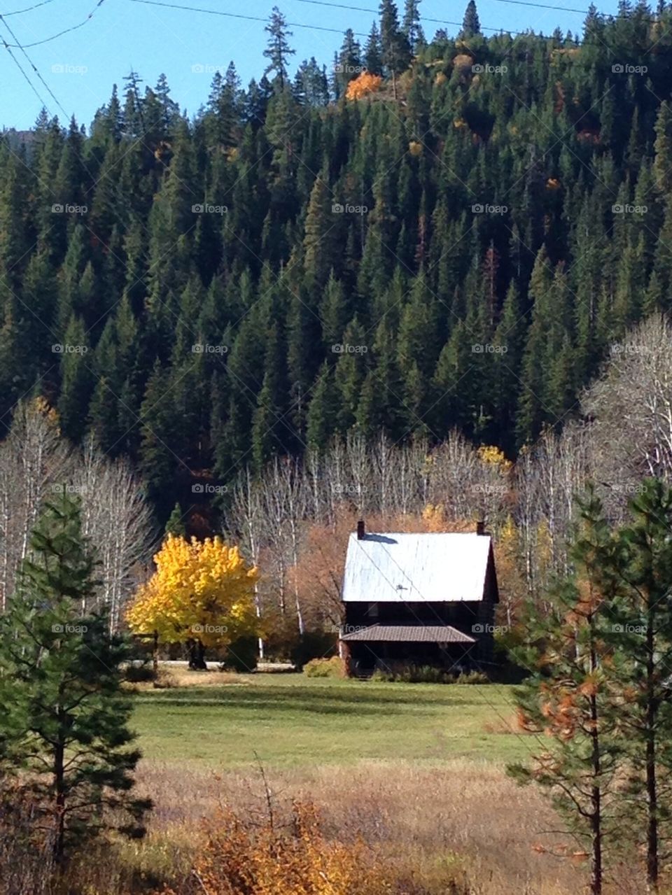 House in field