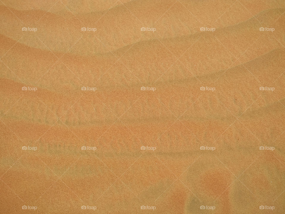 Close up sand texture. Full frame background