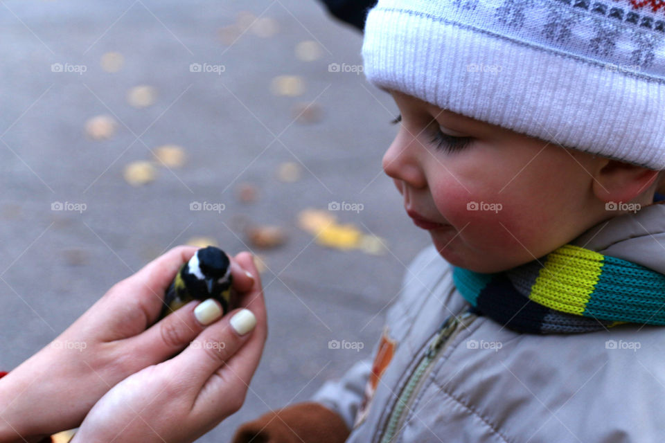 bird and child