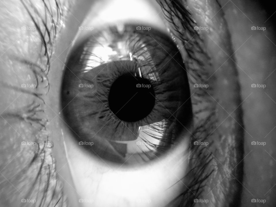 Black and white eye. Macro Lens testing