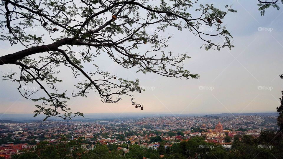 overlooking the city