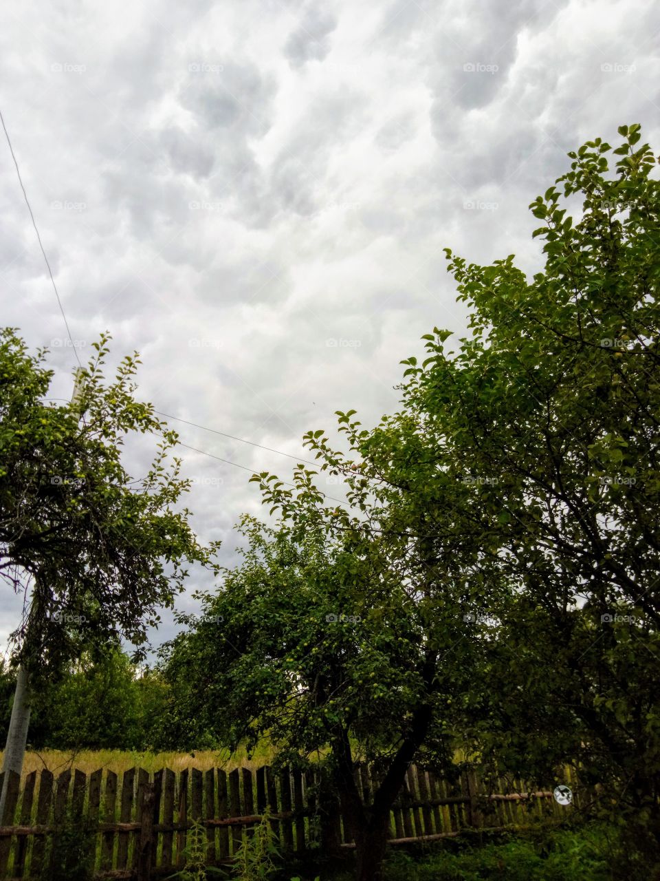 природа России