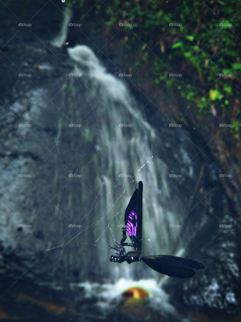 stuck and can do anything