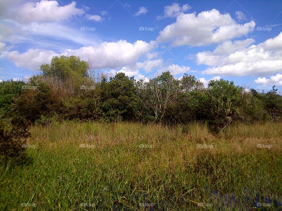 Florida Everglades Blue Sky and Clouds