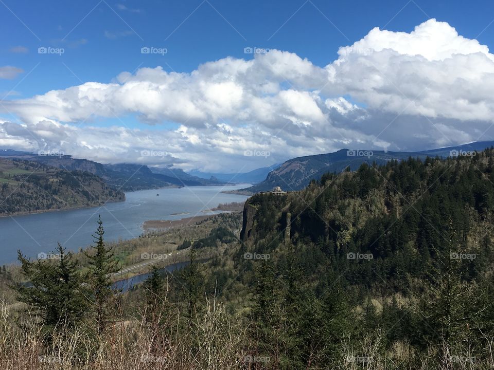 The Columbia Gorge