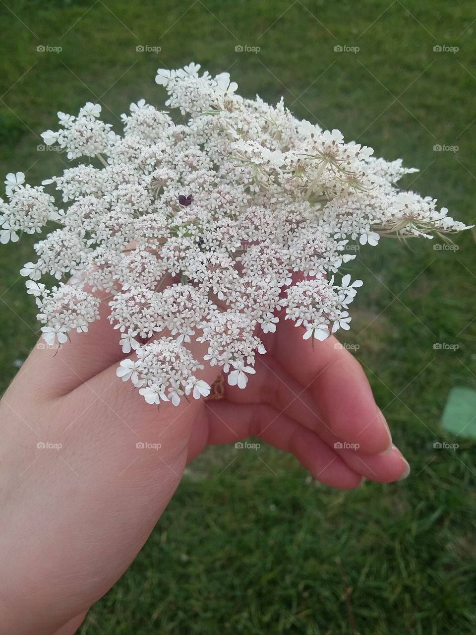 The beauty of the spring flowers in the hand of the village girl