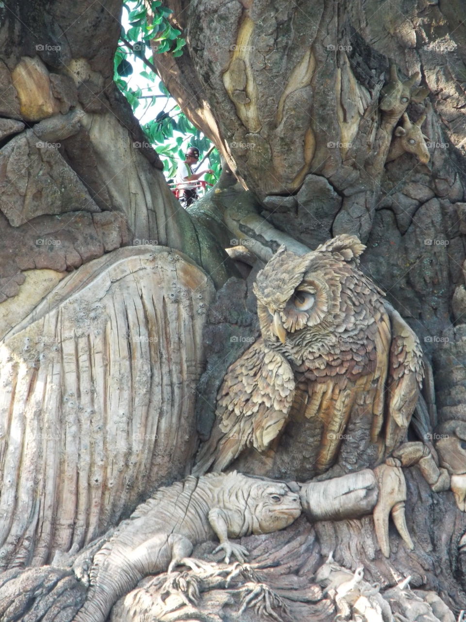 owl intricate