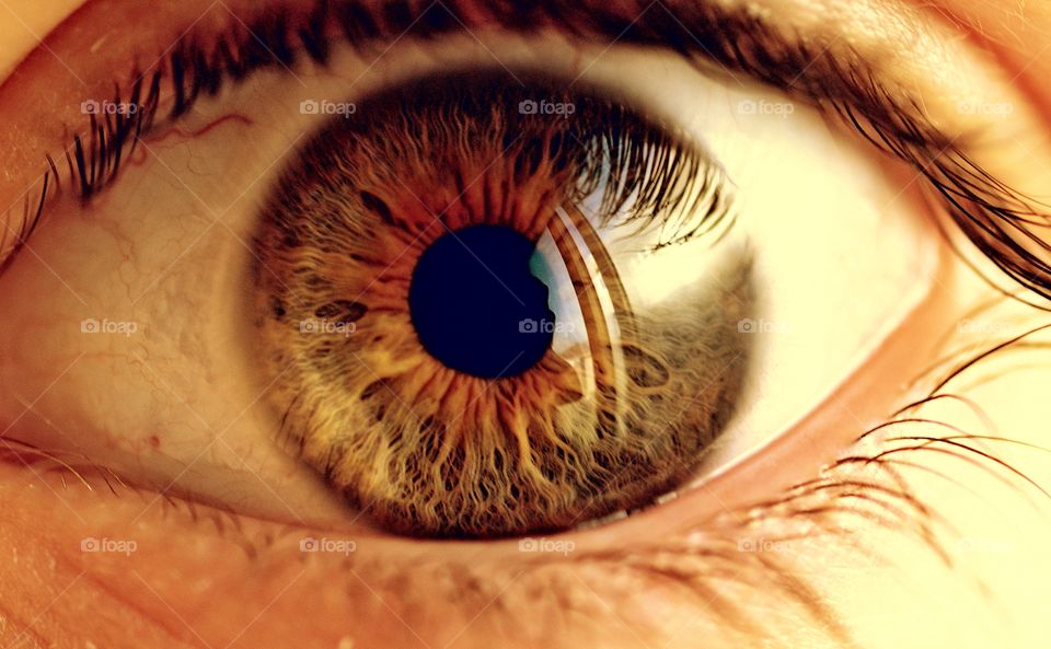 Macro photo of eye