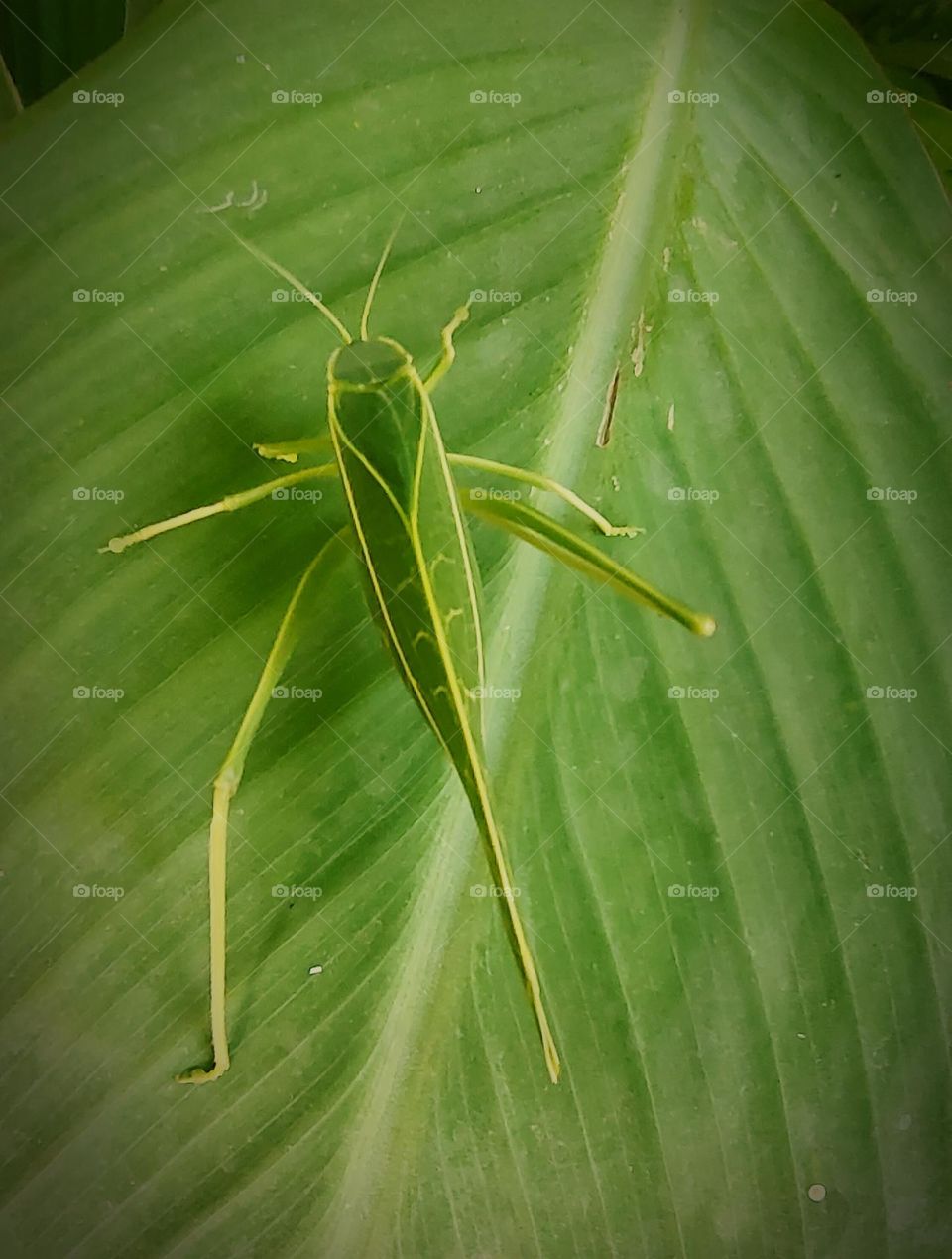 Learn from this to live unitedly