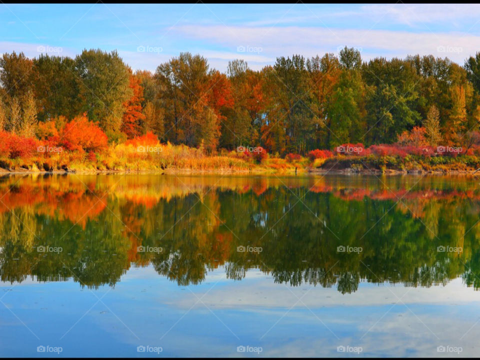 The Beauty of Fall