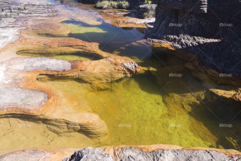 Jacuzzis, little water pools, Mount Roraima, Canaima National park in Venezuela.