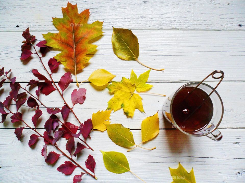 Autumn leaves and black tea