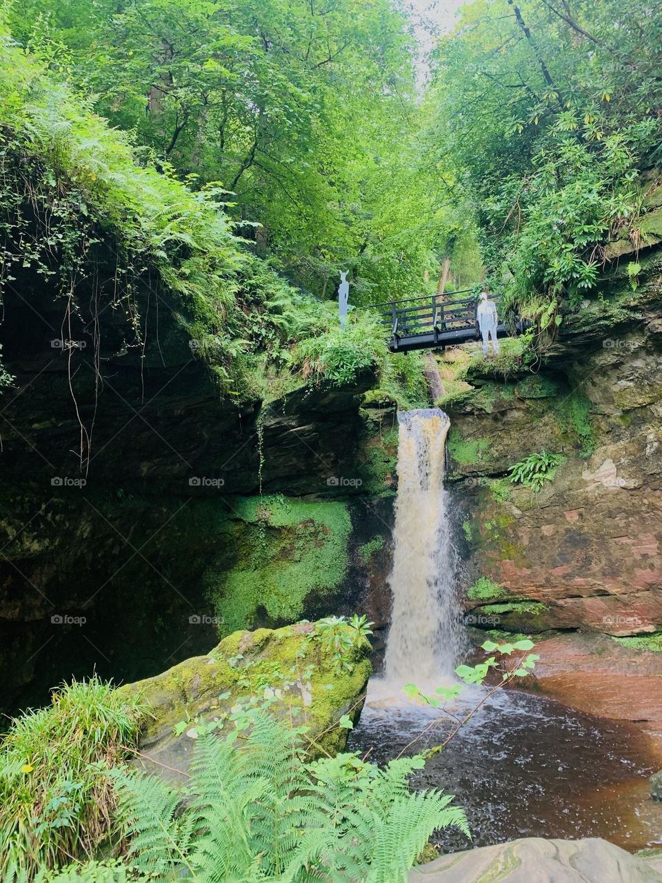 Waterfall in the forest