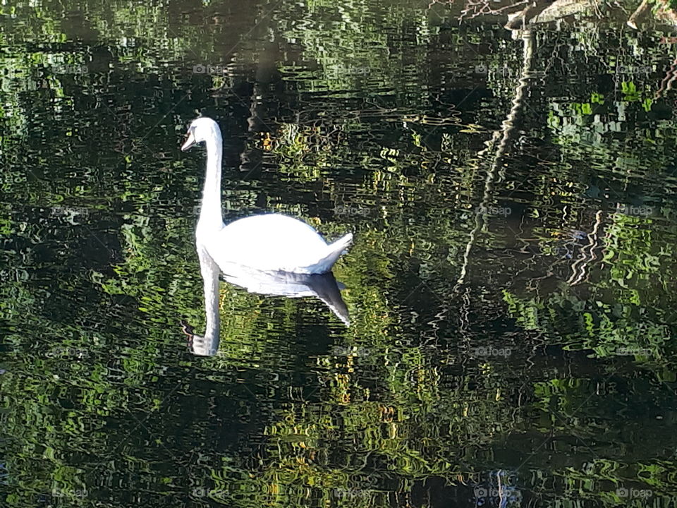 Perfect Reflections