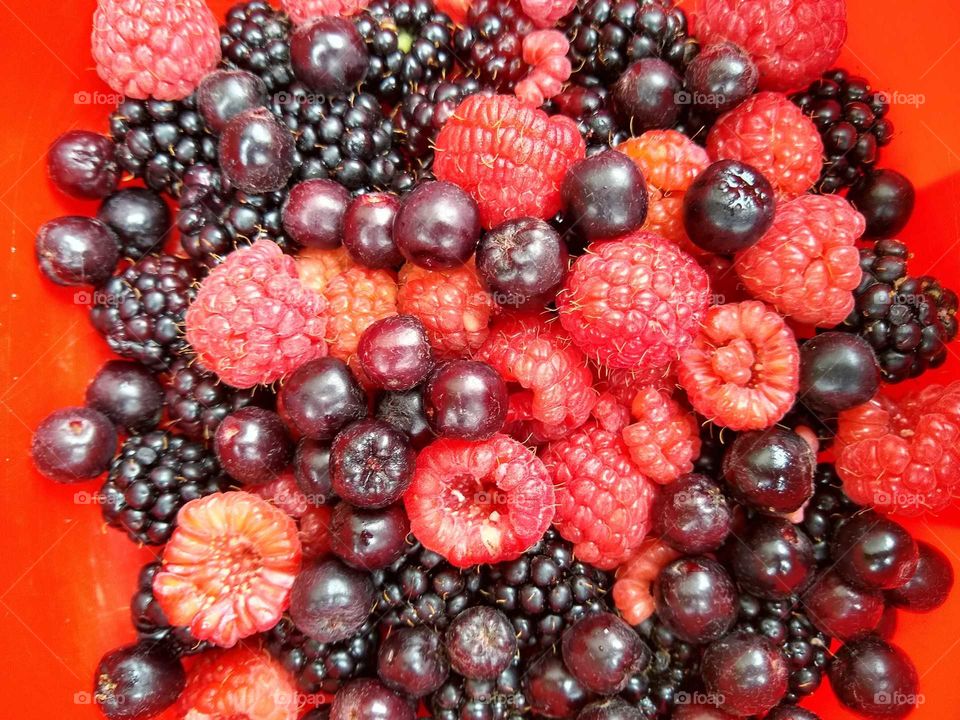 fresh berries