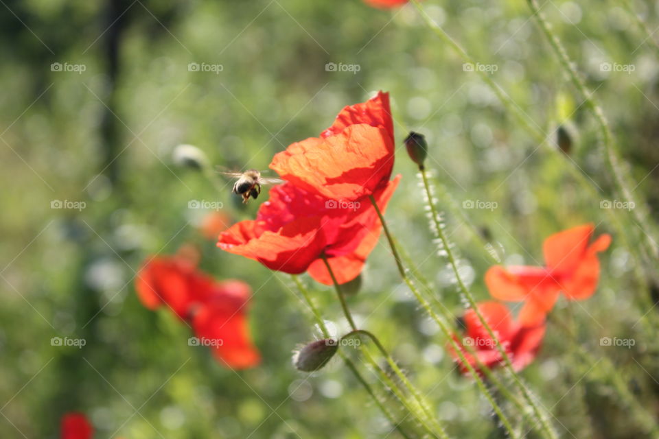 It's summer!  Someone does not rest!