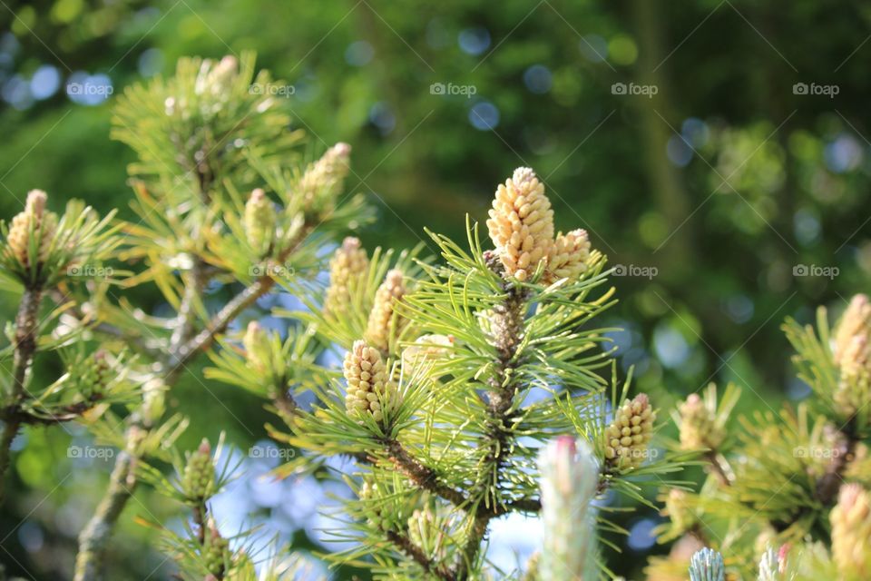 Just a beautiful picture 