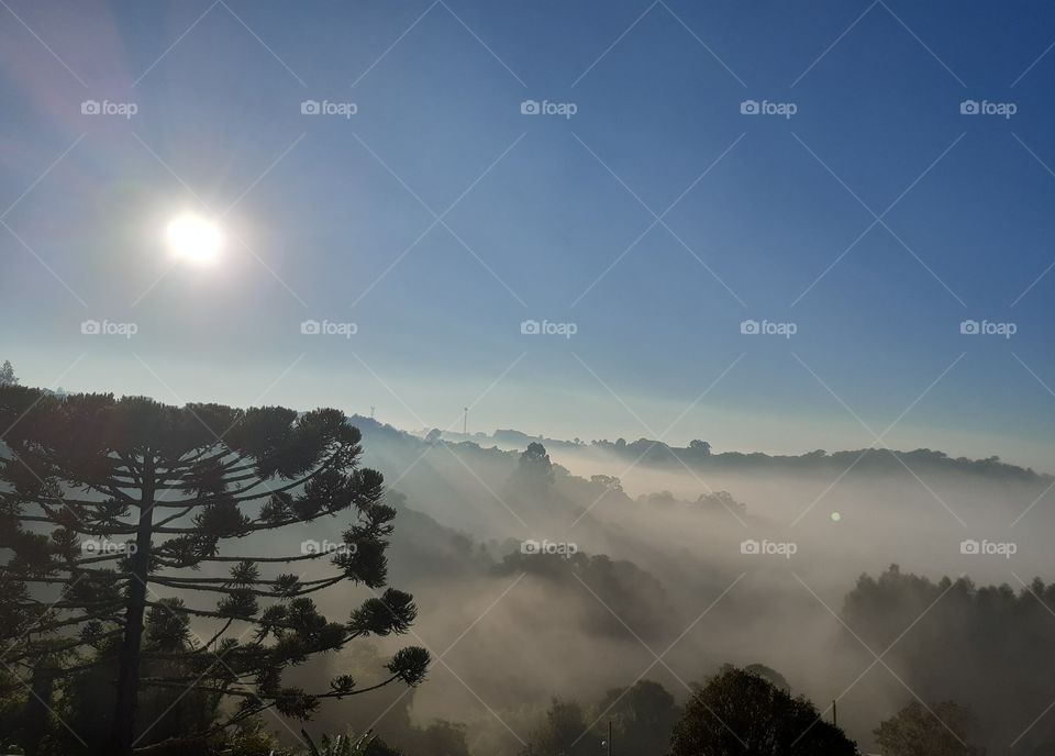 Lentamente a manhã desperta sob o calor do sol que levanta a neblina que a encobrira durante a noite fria.