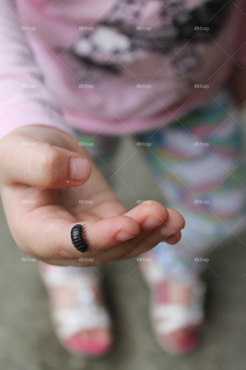 potato bug play time