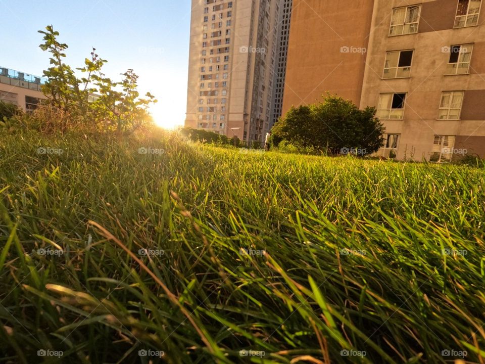 sun rises beautiful view