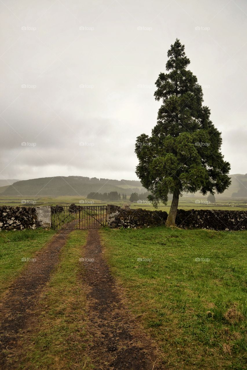 Azores island called Terceira