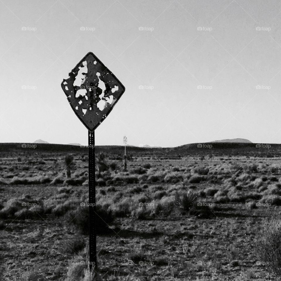 Target practice in New Mexico 