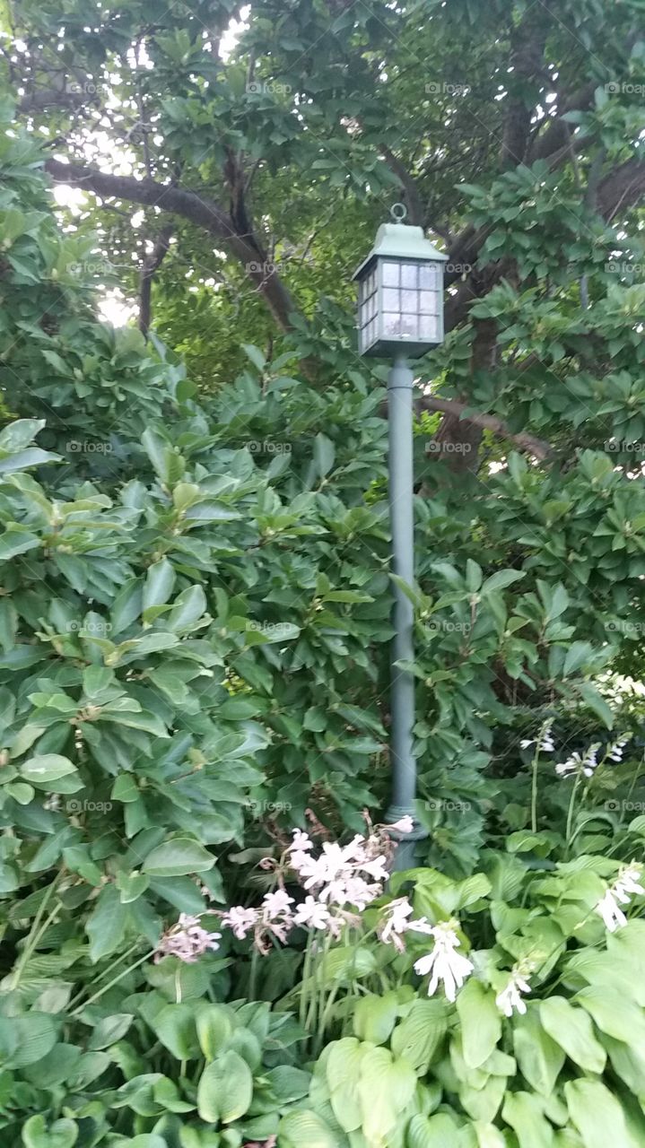 lamppost. garden park, 80 / 90