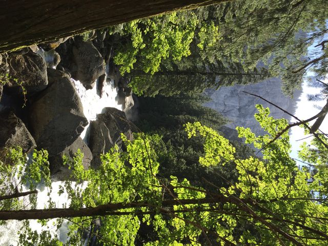 River in Yosemite 