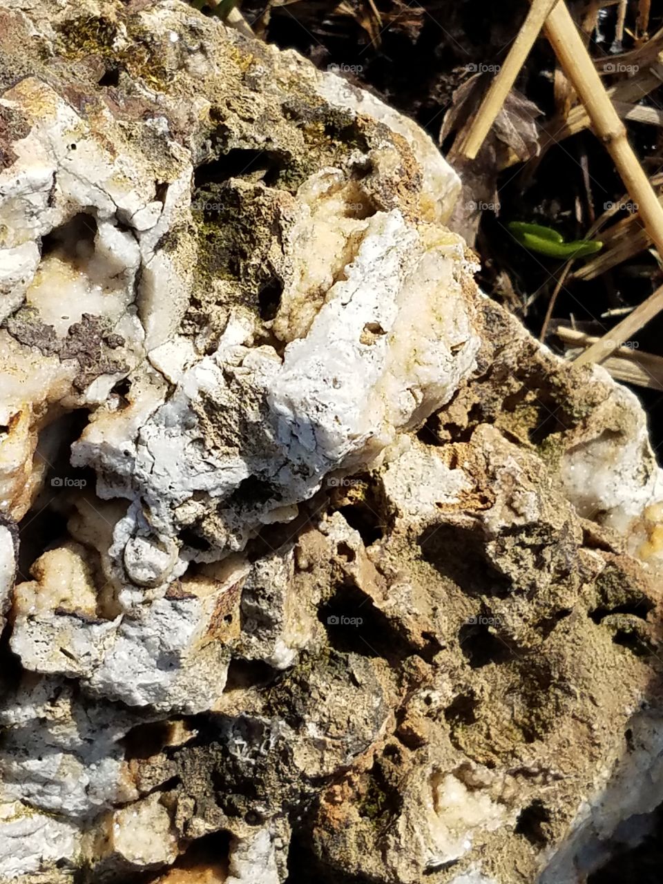 What can we Really see in a Rock