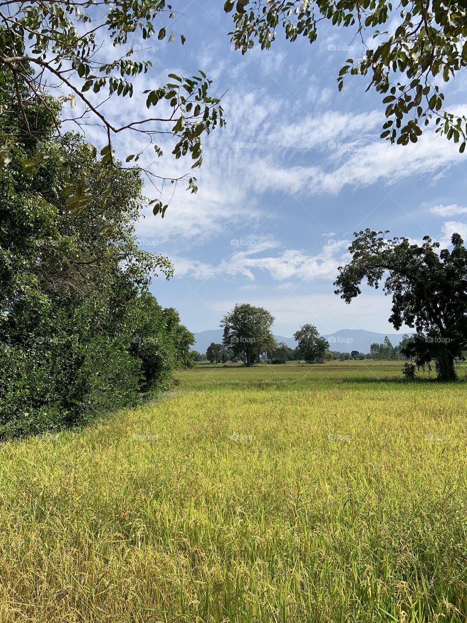 Editor’s choice : Photo of the week, My garden.