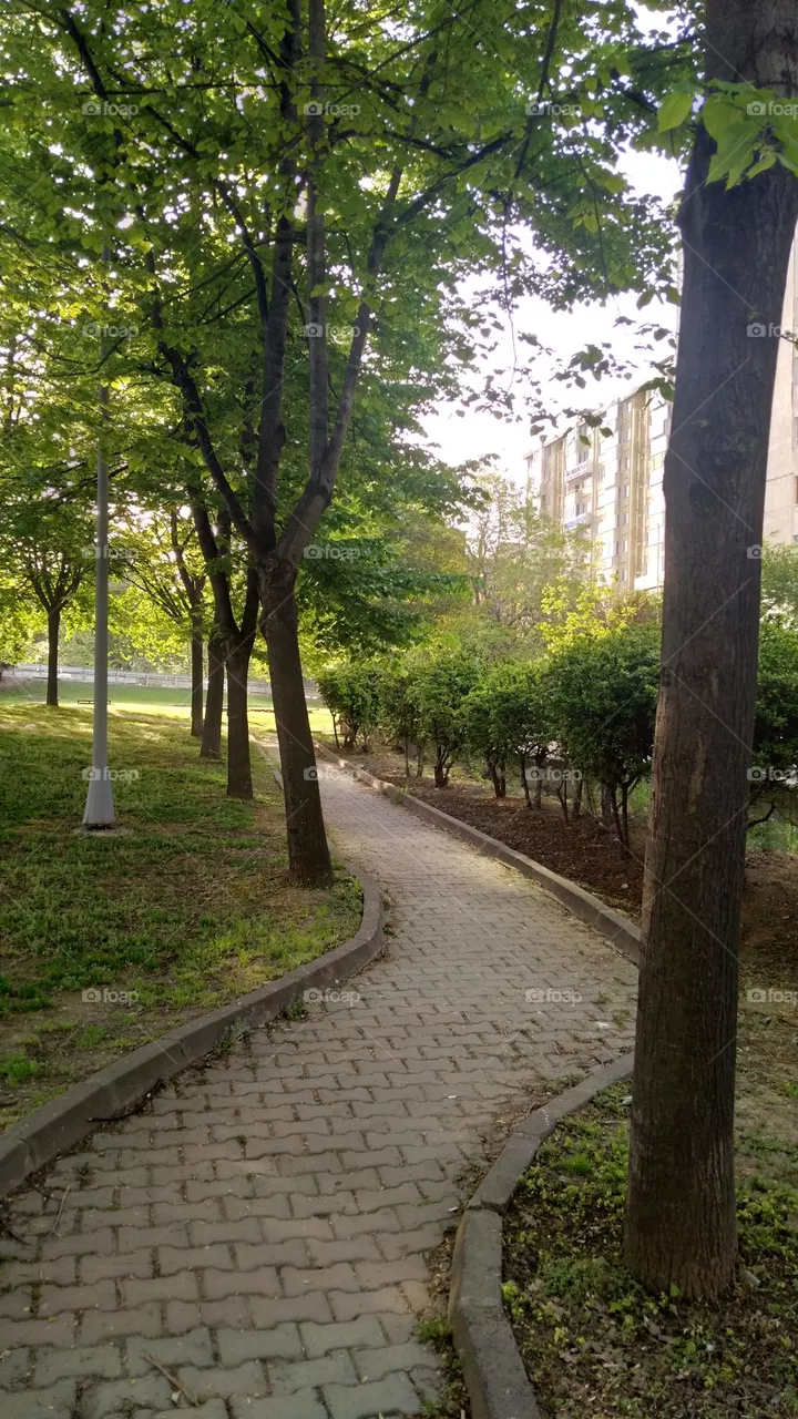 walking path