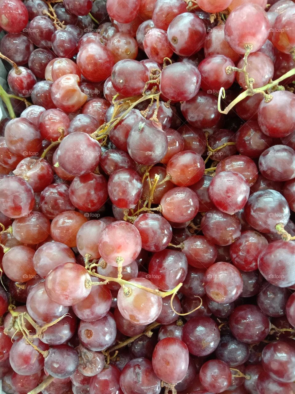 Grape Fruits