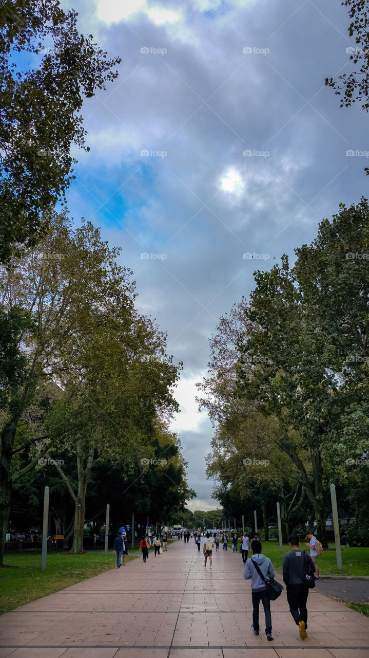 Dark rain clouds hovering over long walk way around midday.