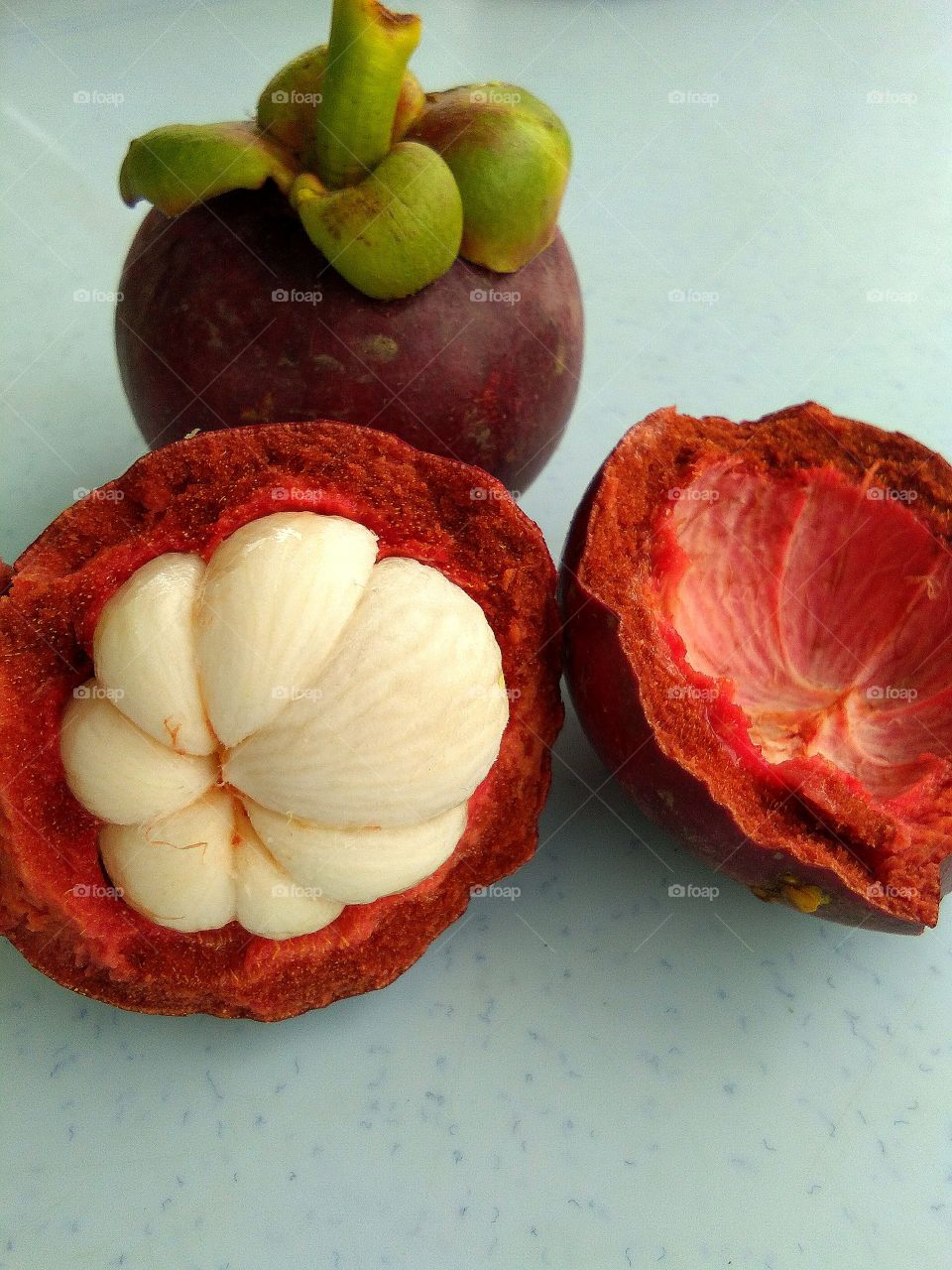 The purple mangosteen (Garcinia mangostana), known simply as mangosteen,is a tropical evergreen treebelieved to have originated in the Sunda Islands of the Malay archipelago and the Moluccas of Indonesia.