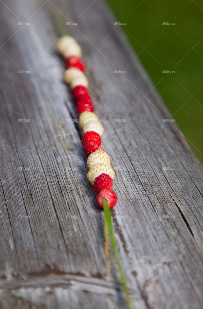 Wild strawberries